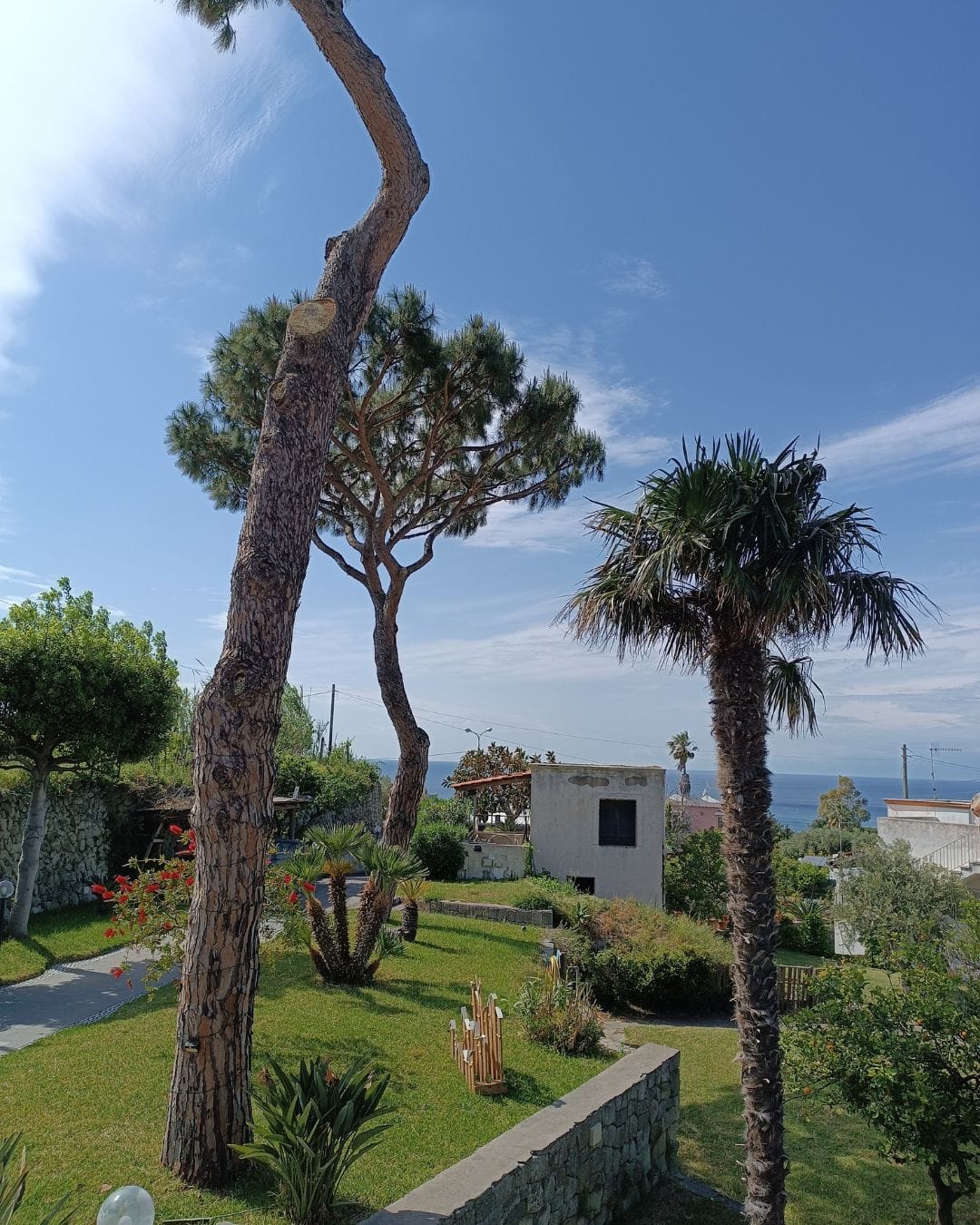 Giardino e vista mare per appartamenti villa Olivia Residence Ischia