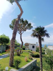 %0 anni di storia per questo viale con i pini e la vista mare